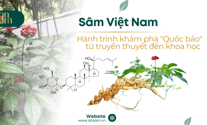 Green Modern Herbal Tea Promotion Facebook Ad