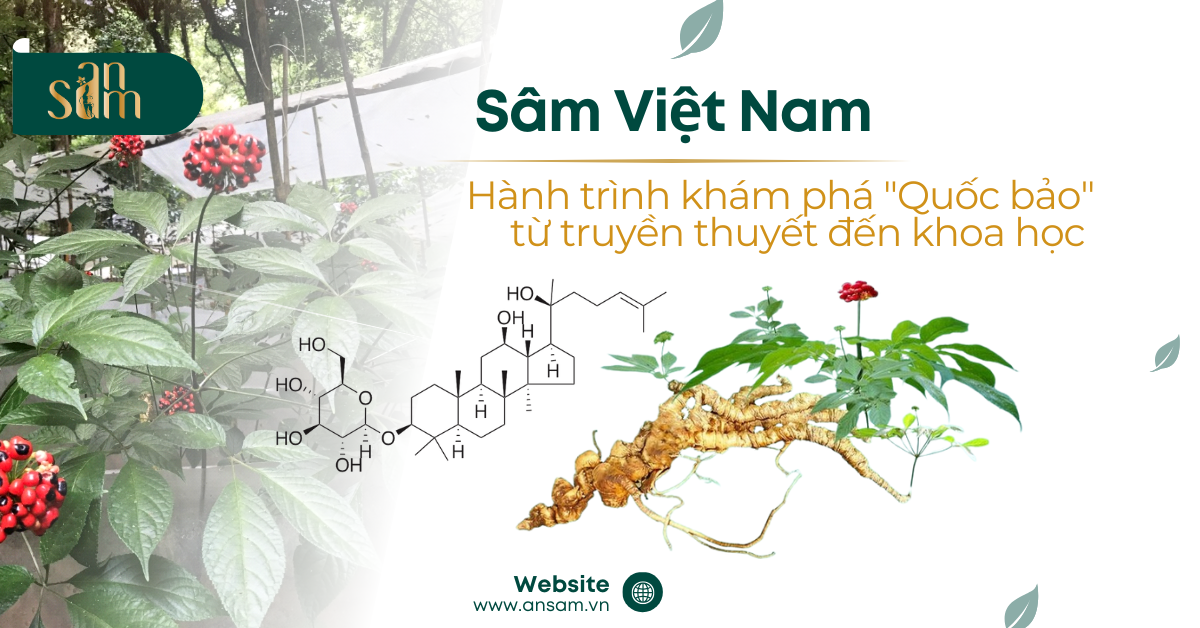 Green Modern Herbal Tea Promotion Facebook Ad