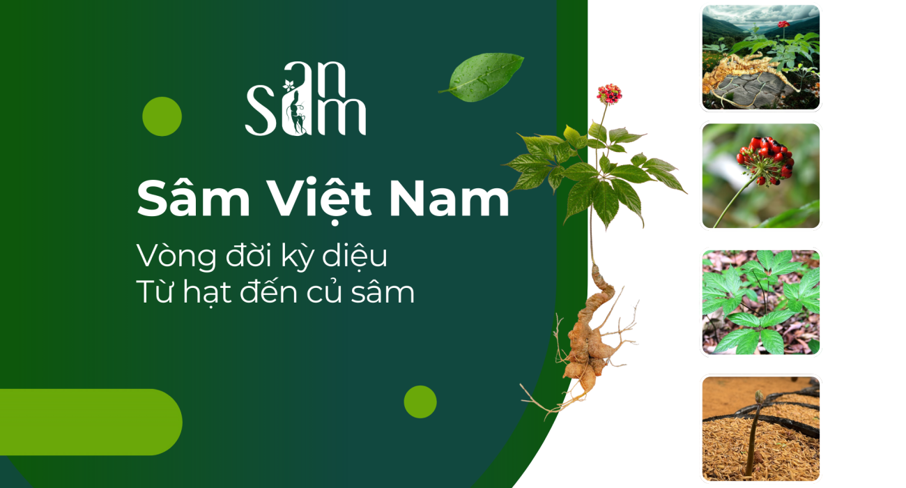 Green and White Modern Plant Company Profile Presentation