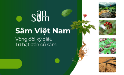 Green and White Modern Plant Company Profile Presentation