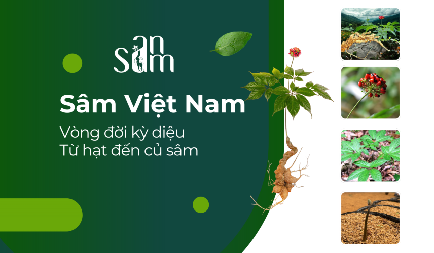 Green and White Modern Plant Company Profile Presentation