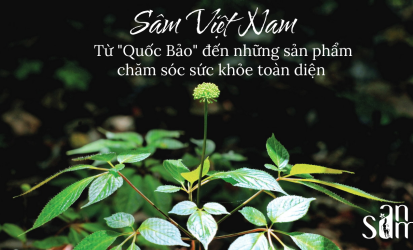 Lời khuyên về Chế độ Ăn kiêng đáng tin cậy nhất của Linh