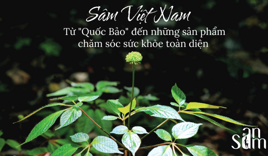 Lời khuyên về Chế độ Ăn kiêng đáng tin cậy nhất của Linh