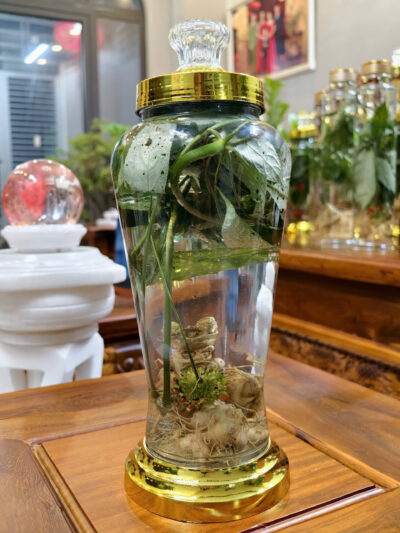 Rượu Sâm Bình 4L