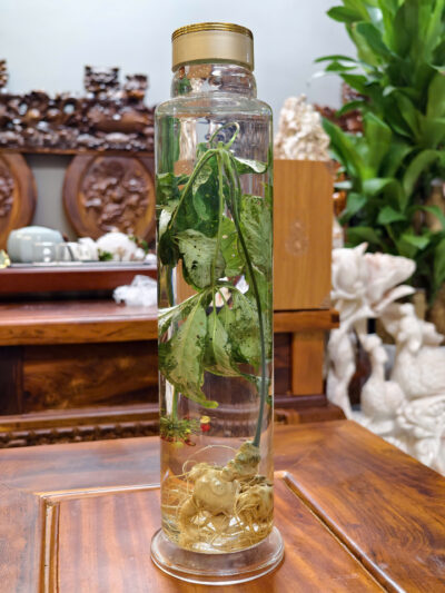 Rượu Sâm Bình 2.5l