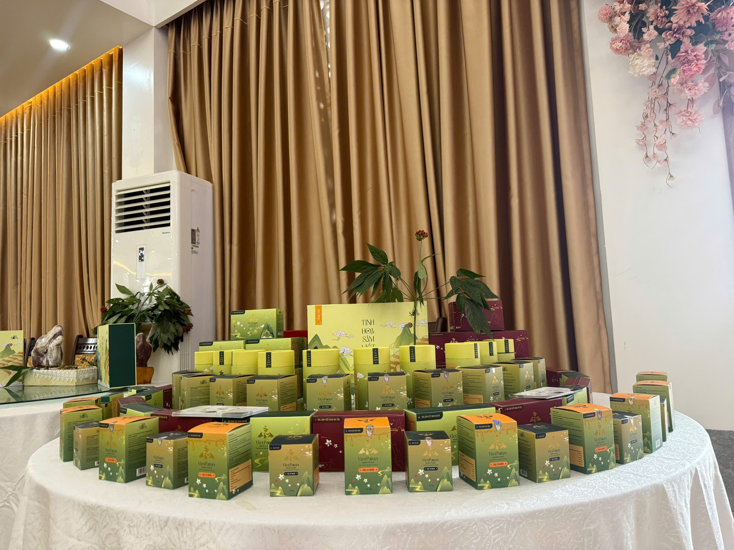 Các sản phẩm tại Vietpanaax