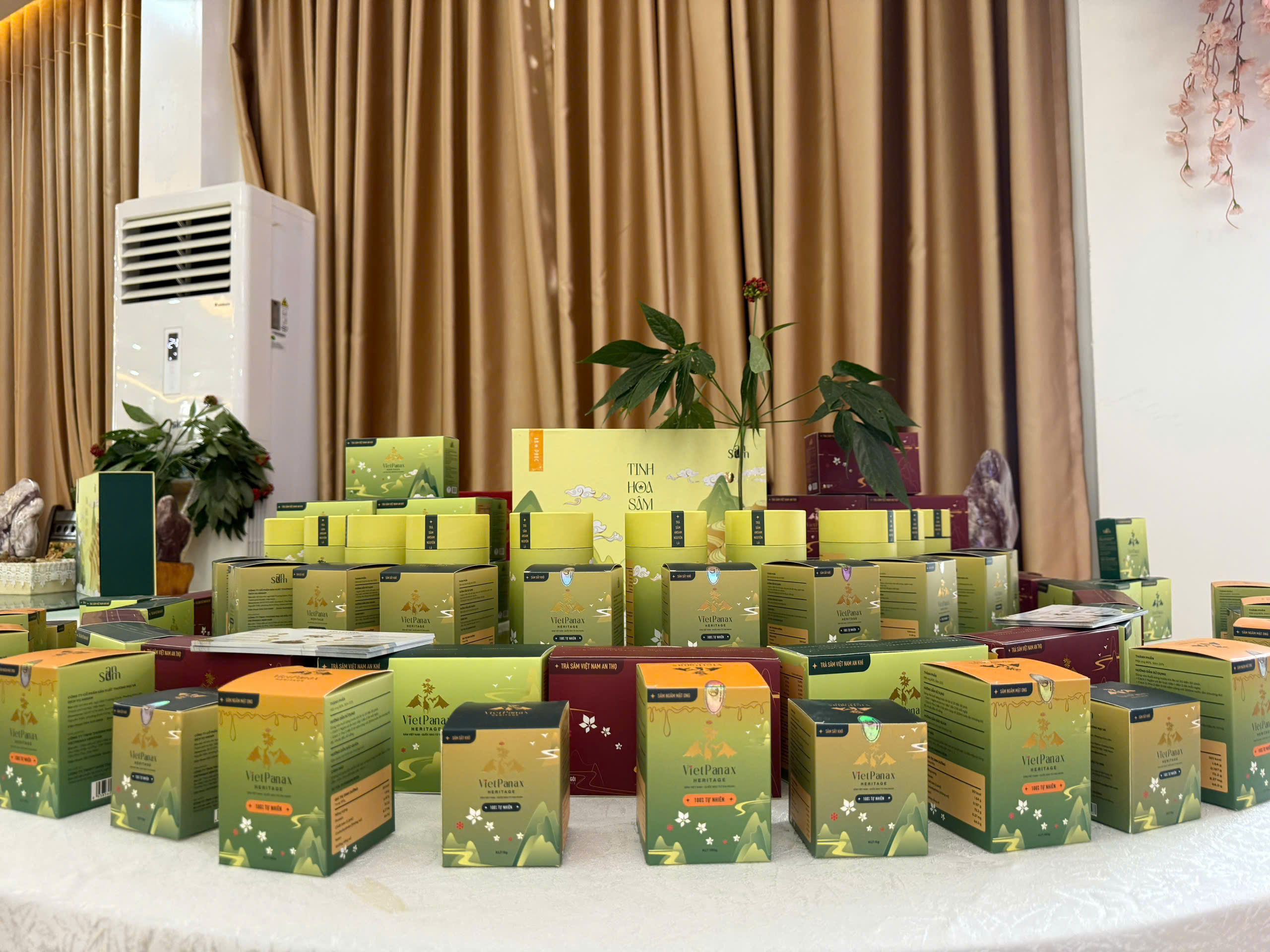 Các sản phẩm từ Sâm tại Vietpanax